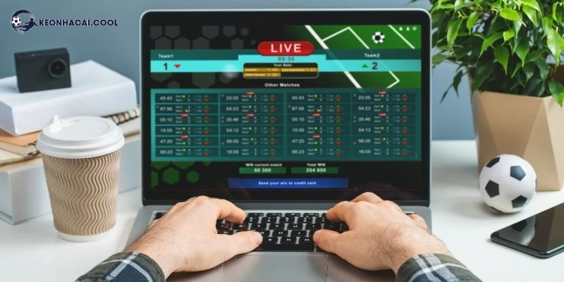 keonhacai-update-thong-tin-chuan-giai-dau-hang-hai-duc-5536