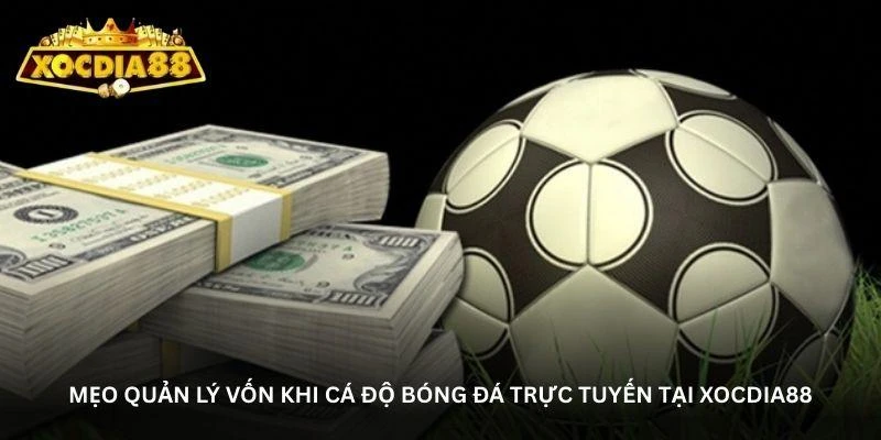 trang-ca-do-bong-da-uy-tin-xocdia88-noi-hoi-tu-cac-tran-cau-dinh-cao