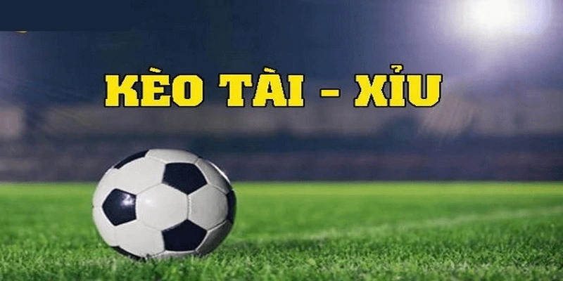 soi-keo-tai-xiu-cach-doc-keo-va-kinh-nghiem-du-doan-hieu-qua