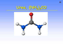 (NH2)2CO-ure-2