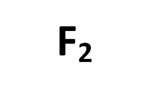 F2-flo-77