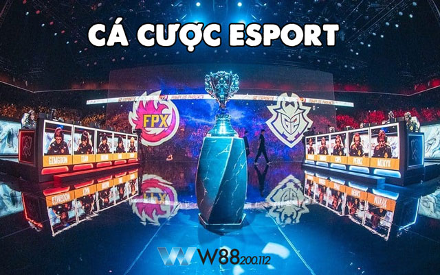 ca-cuoc-esport-bi-quyet-dau-tu-thang-lon-cho-nguoi-moi-bat-dau-2390