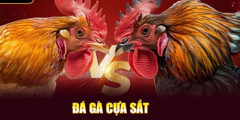 da-ga-cua-sat-tai-betvisa-cach-chon-chien-ke-va-chien-thuat-hieu-qua-2462