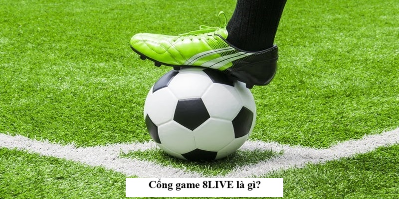 ly-do-nguoi-choi-ca-cuoc-tin-chon-8live-hang-dau-2528