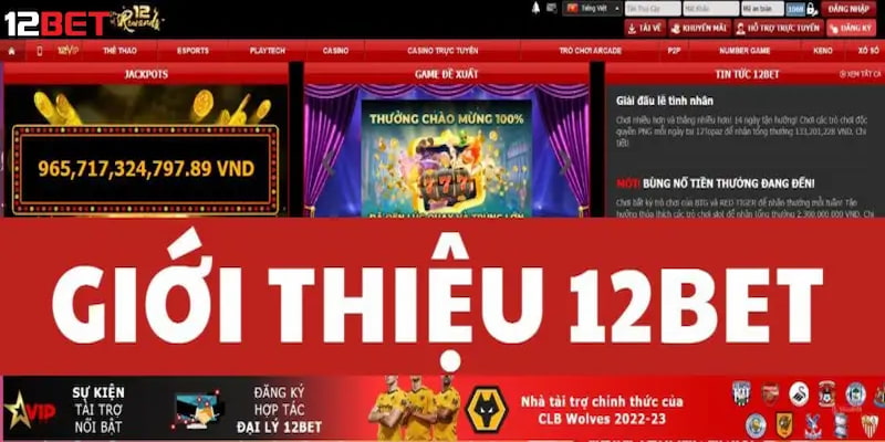 12bet--thong-tin-tong-quan-nha-cai-hang-dau-viet-nam-nam-2025-2702