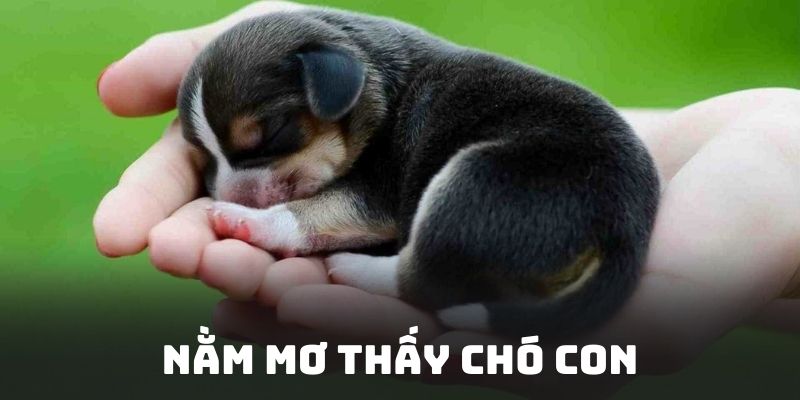 nam-mo-thay-cho-con-mang-thong-diep-gi-danh-so-nao-2714