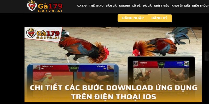 ga179-huong-dn-dang-ky-chi-tiet-va-cau-hoi-nam-2025-2825