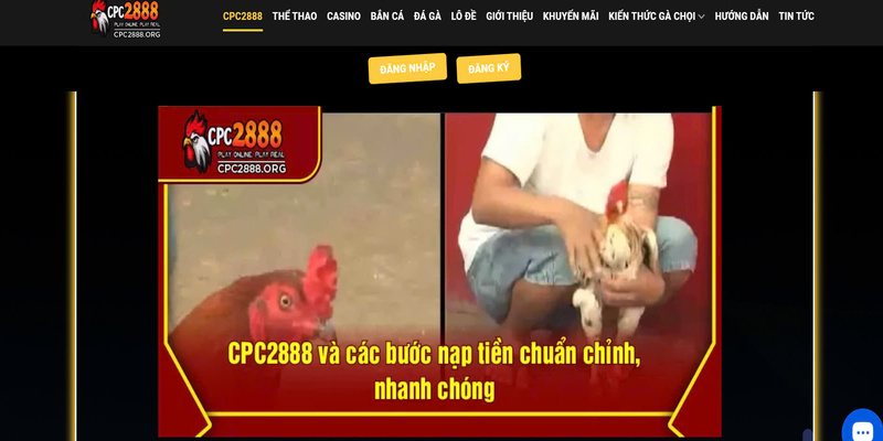 huong-dn-dang-ky-cpc2888-chi-tiet-va-loi-ich-trong-nam-2025-2826