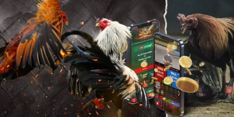 da-ga-vin88-san-choi-ca-cuoc-hien-dai-vuong-tam-quoc-te-2916