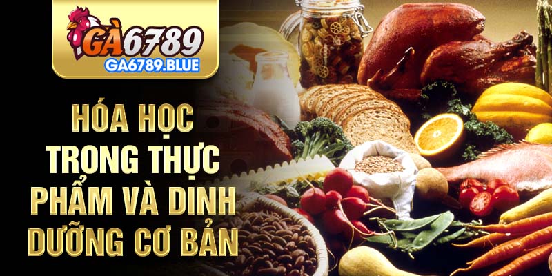 hoa-hoc-trong-thuc-pham-kham-pha-vi-giac-thu-vi-2929
