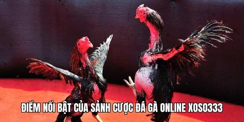 da-ga-xoso333-san-choi-quy-tu-nhung-chien-ke-hang-dau-3293