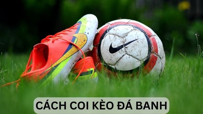 huong-dn-ca-cuoc-bong-da-tai-ku88-va-doc-keo-mot-cach-chuan-xac-3456