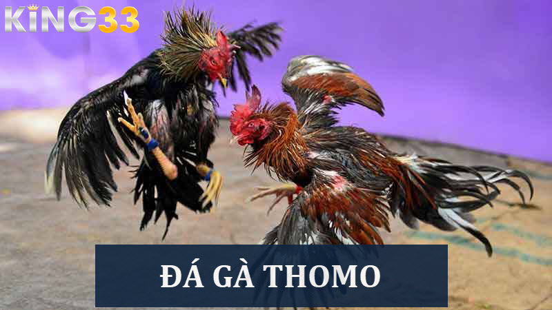 da-ga-thomo-suc-hut-manh-liet-voi-cac-ke-thu-lao-lang-3497