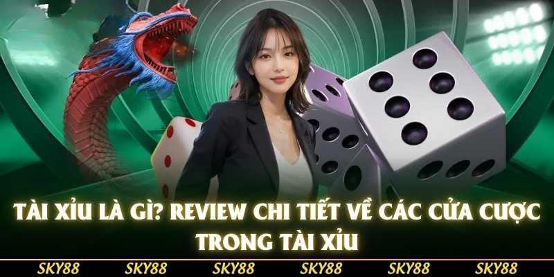 review-chi-tiet-cac-cua-trong-tai-khi-tham-gia-chuck-a-luck-3670