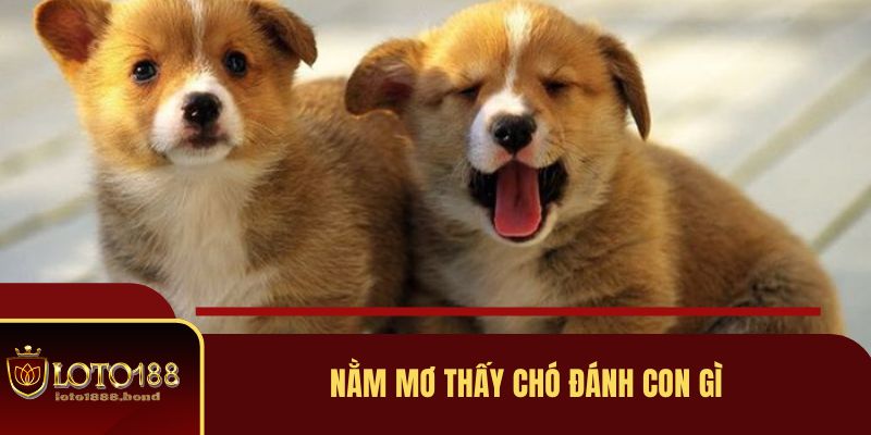 nam-mo-thay-cho-danh-con-gi-de-nhanh-giau-nhat-2025-3905