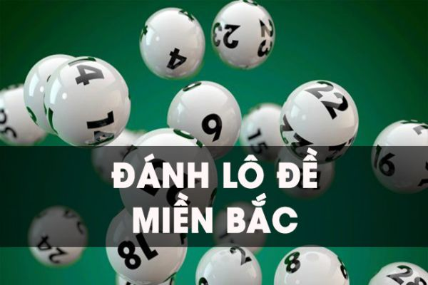 meo-nuoi-dan-lo-6-so-chien-luoc-ky-thuat-va-cac-luu-y-quan-trong-de-gia-tang-ty-le-thang-3934