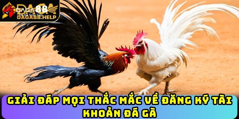 huong-dn-chi-tiet-cach-dang-ky-tai-khoan-daga88-moi-nhat-2025-4261