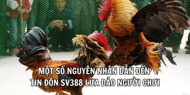 sv388-co-lua-dao-khong-review-tu-nguoi-choi-thuc-te-4262