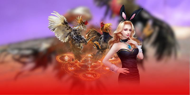 cac-loai-hinh-da-ga-thu-hut-nguoi-yeu-thich-tai-ga888-4304