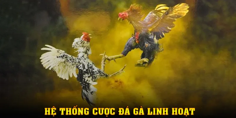 trai-nghiem-dinh-cao-voi-da-ga-mm88--giai-tri-kich-tinh-thang-thuong-khung-4793