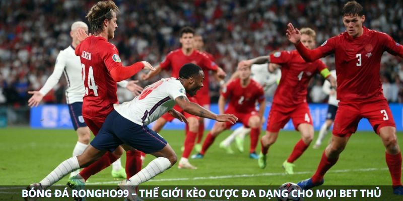 bong-da-rongho99--the-gioi-keo-cuoc-da-dang-cho-moi-bet-thu-4931