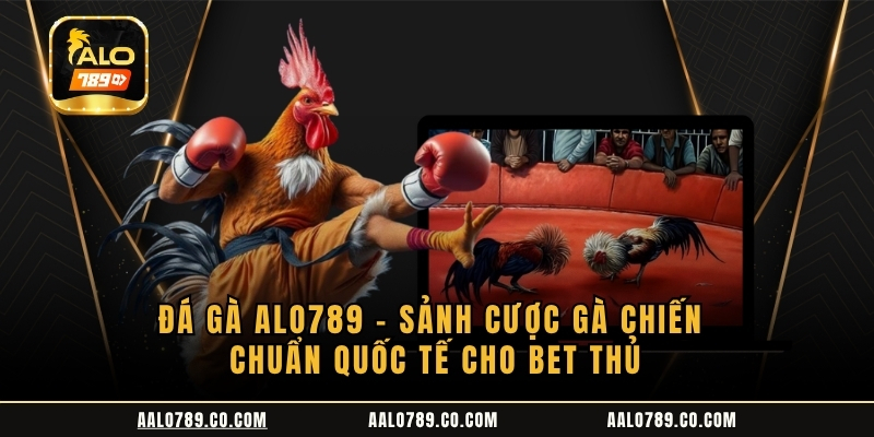 da-ga-alo789--sanh-cuoc-ga-chien-chuan-quoc-te-cho-bet-thu-5180