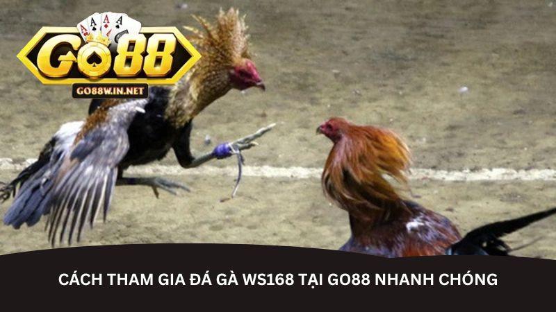 da-ga-ws168-tai-go88--san-choi-dinh-cao-cho-dam-me-ke-thu-5434