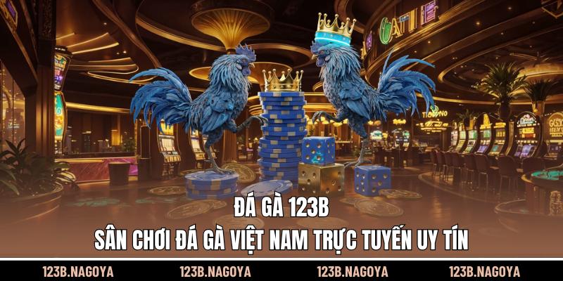 da-ga-123b-san-choi-da-ga-viet-nam-truc-tuyen-uy-tin-5481