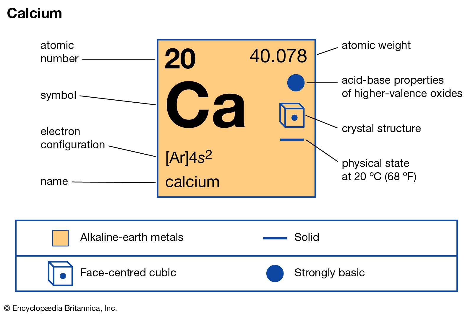 hinh-anh-interesting-facts-about-calcium-42-0