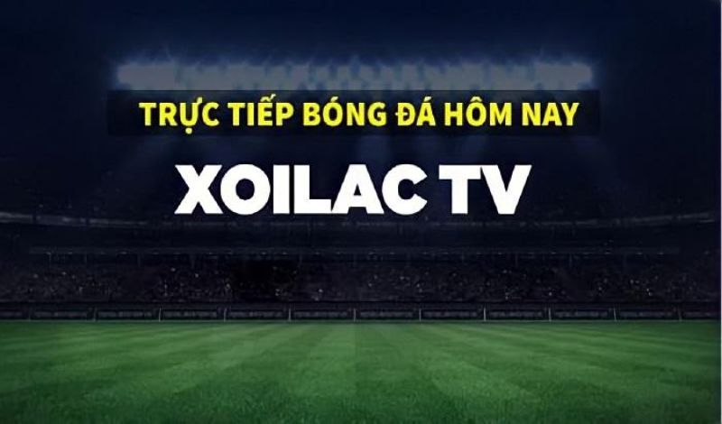 hinh-anh-xem-truc-tuyen-bong-da-xoilac-tv-thoa-dam-me-xoi-lac-linklat-368-2