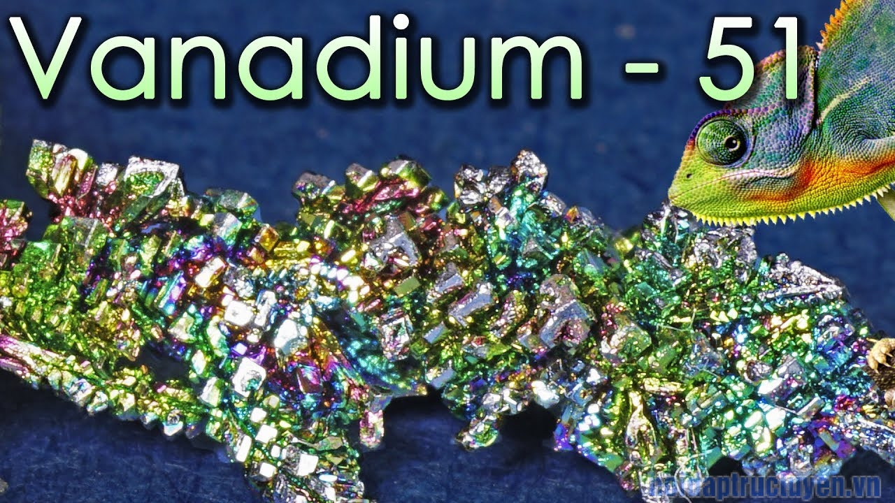 hinh-anh-interesting-facts-about-vanadium-48-1